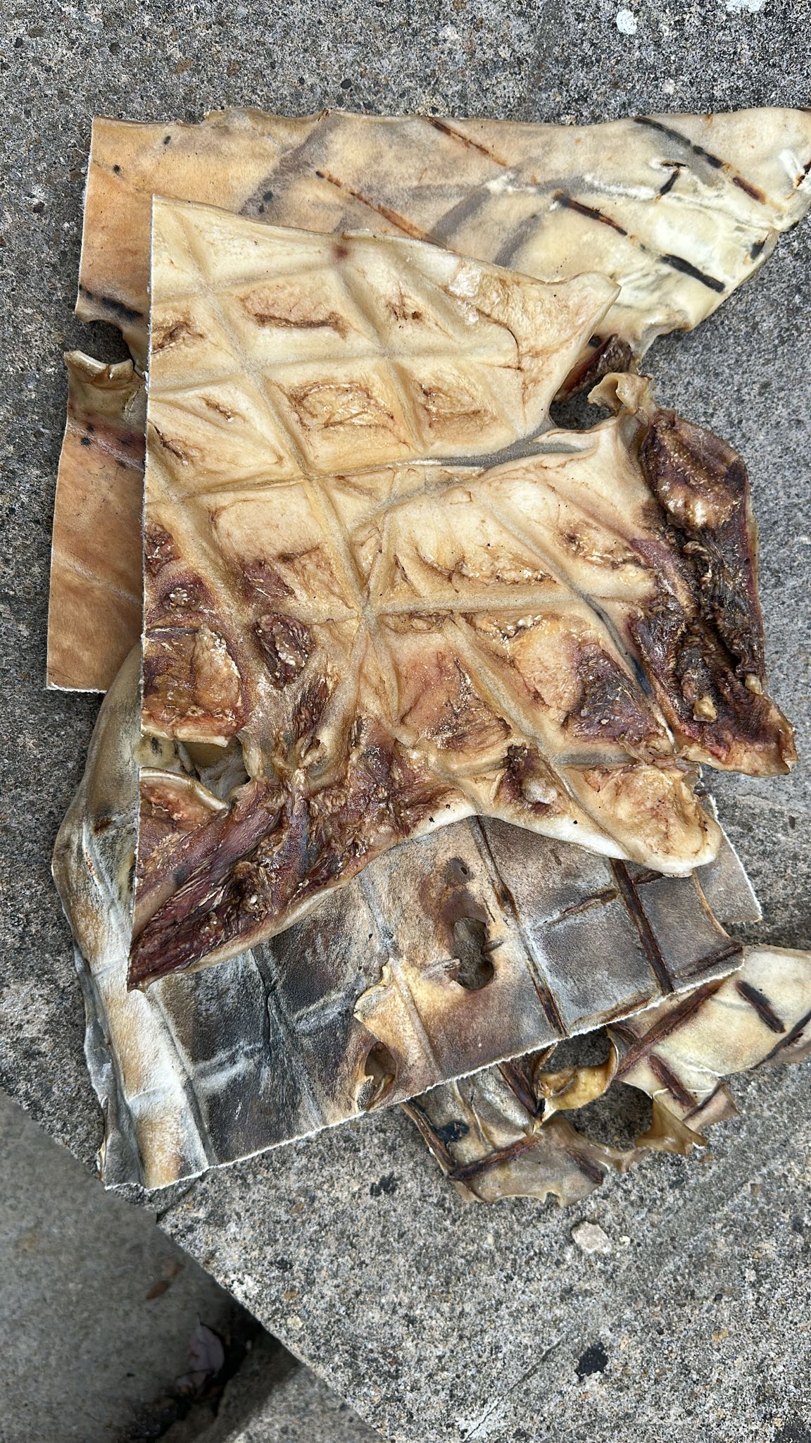 Hairless Beef Bark - 5kg