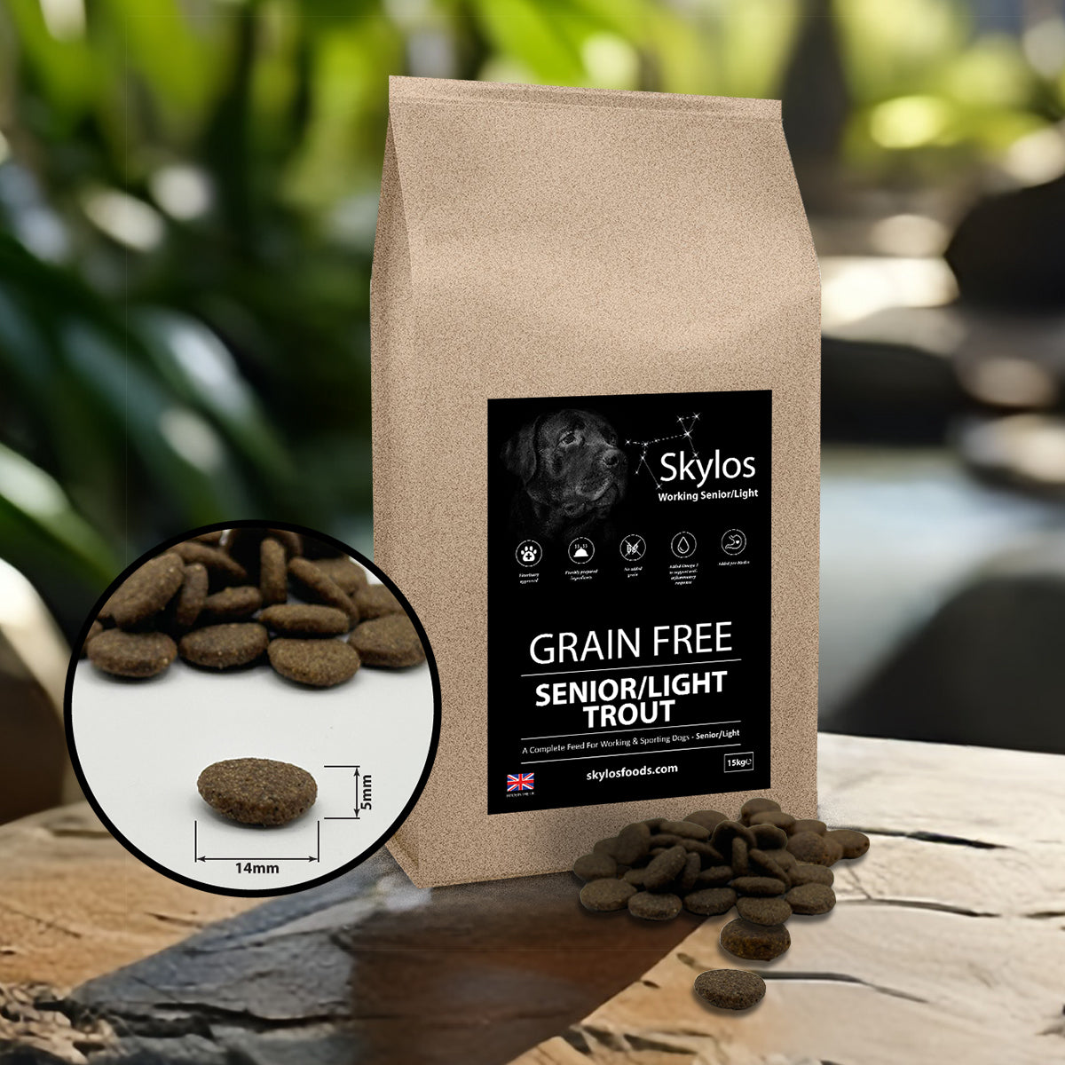 Senior/Light Trout & Salmon