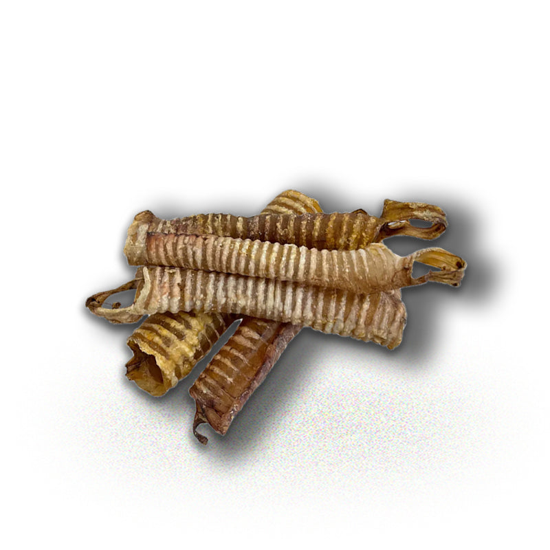 Beef Trachea