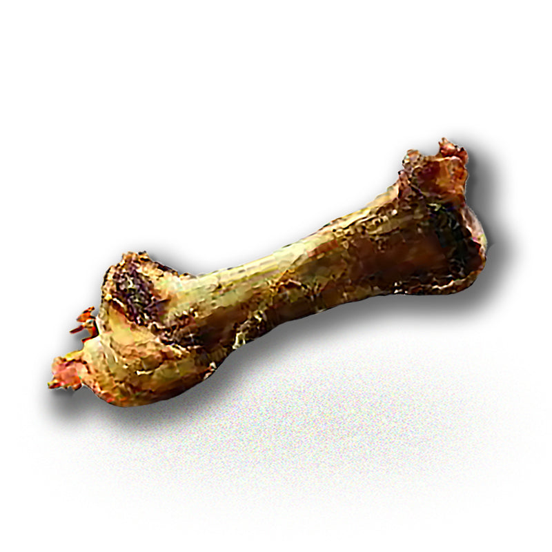 Ostrich Bone