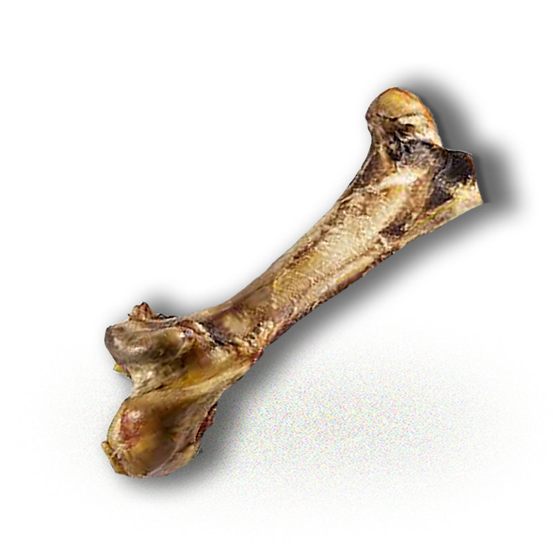 Ostrich Bone