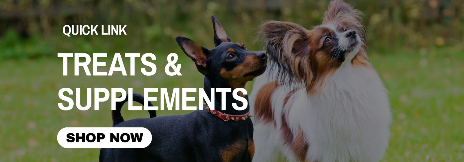 Treats and Supplements